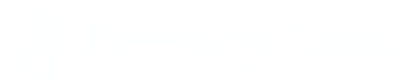 premium tulips